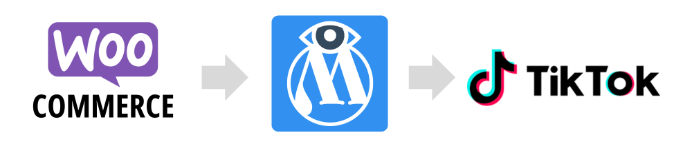 Tiktok feed woocommerce integration